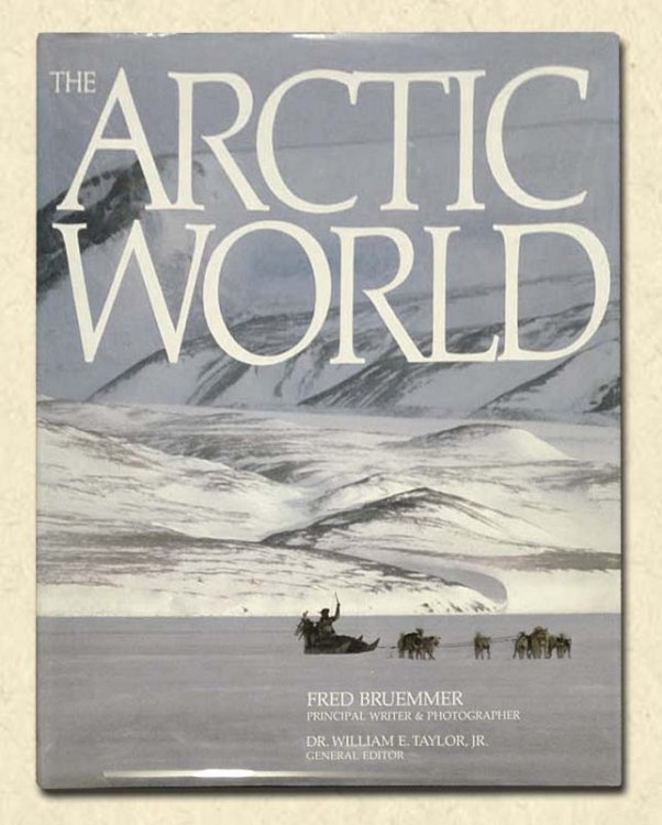 The Arctic World
