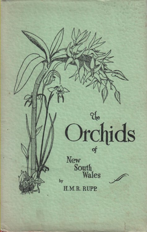 The Orchids of New South Wales