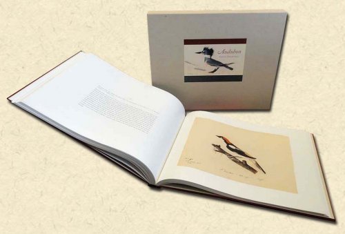 Audubon Early Drawings