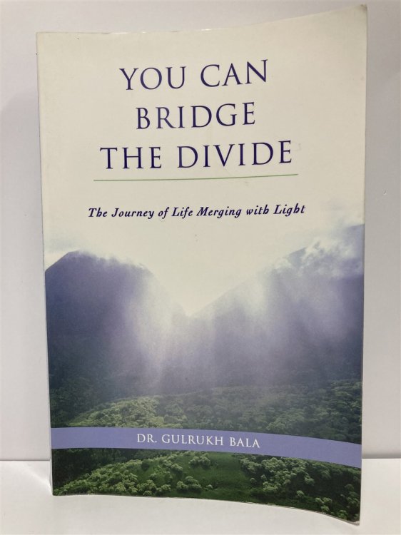 You Can Bridge the Divide The Journey of Life Merging with Light