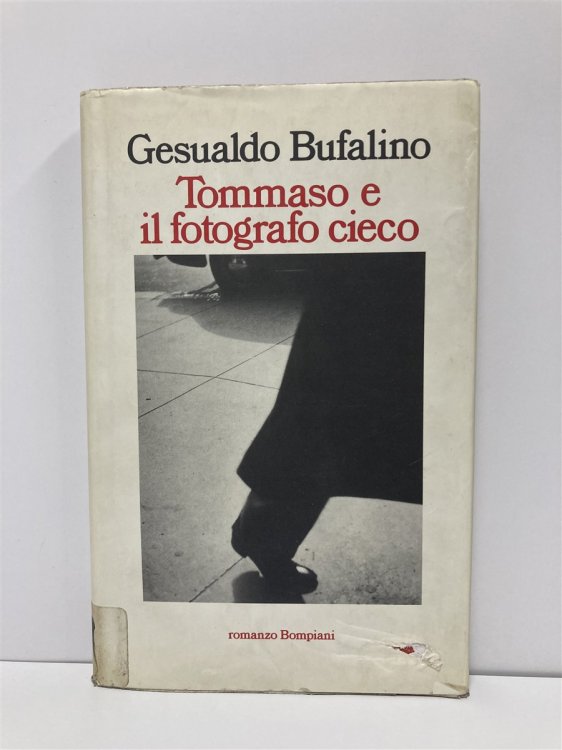 Tommaso E IL Fotografo Cieco, Ovvero, IL Patatrac