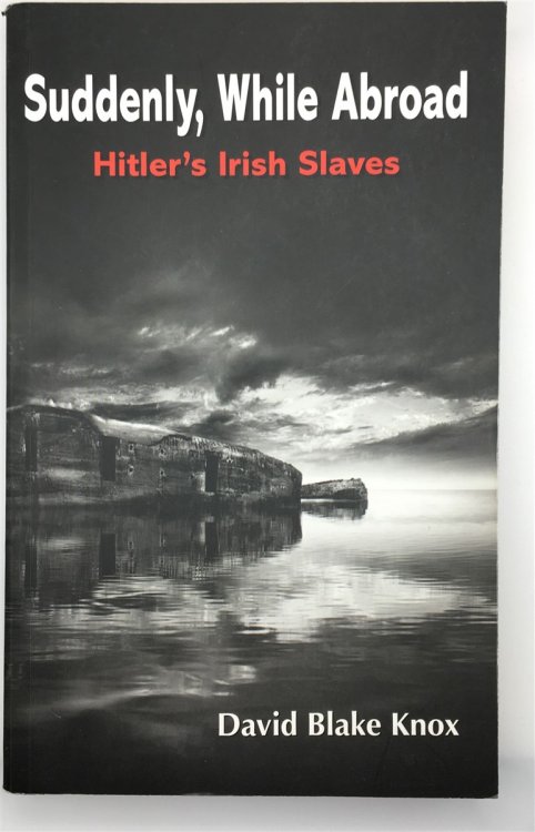 Suddenly, While Abroad Hitler's Irish Slaves