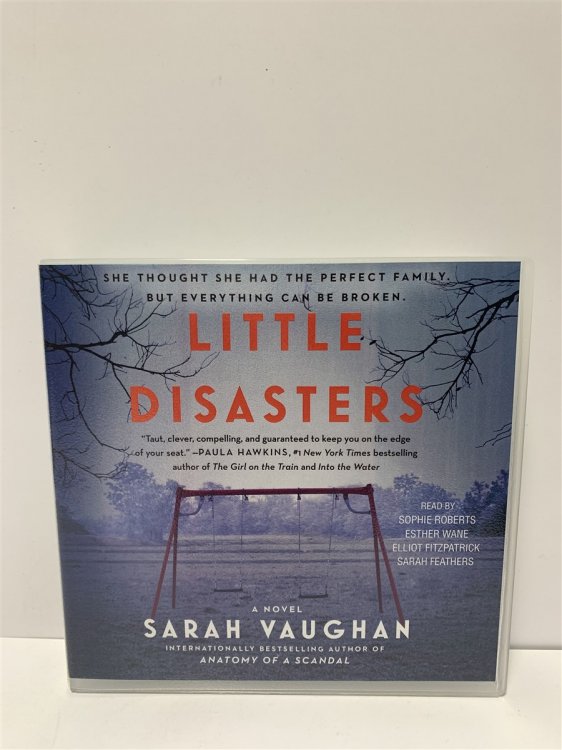 Little Disasters: a Novel