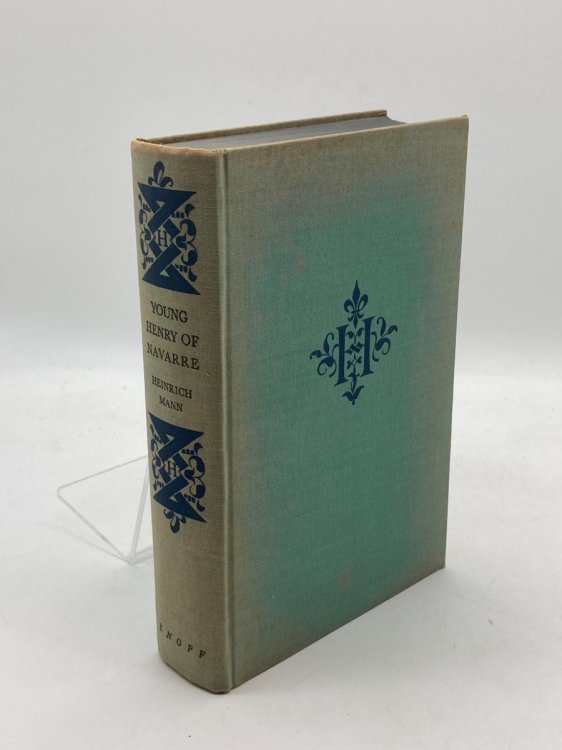 Young Henry of Navarre