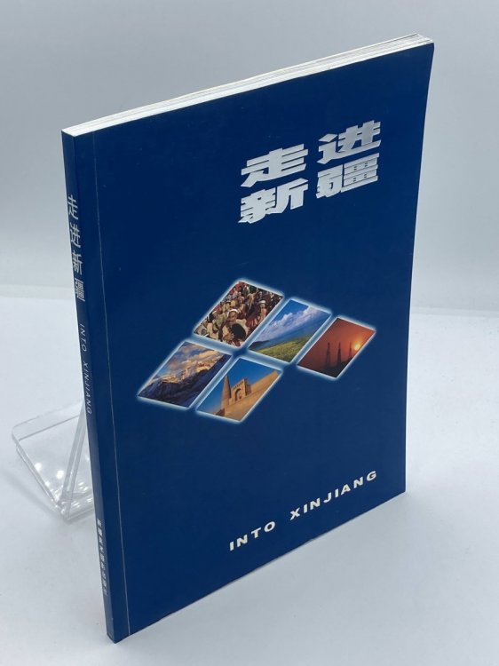 Image for Into Xinjiang Into Xinjiang