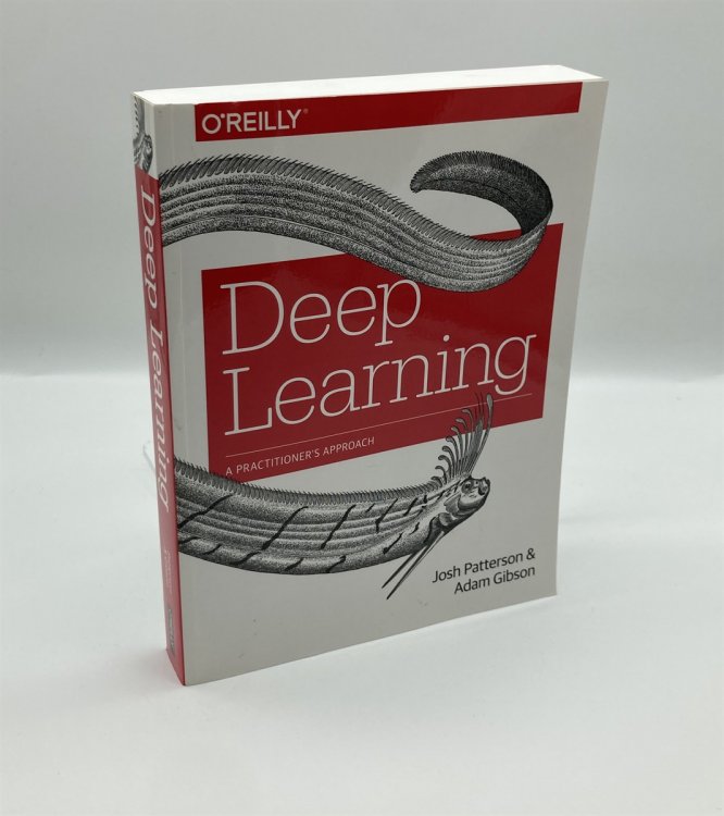 Deep Learning A Practitioner's Approach