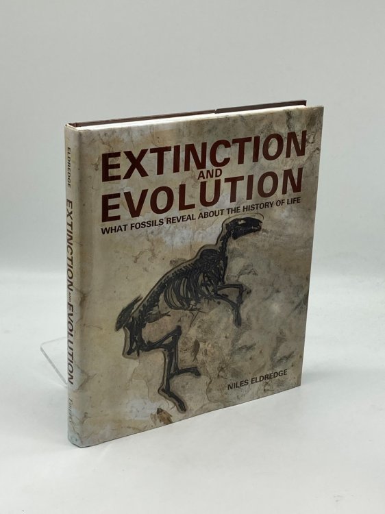 Extinction and Evolution What Fossils Reveal about the History of Life