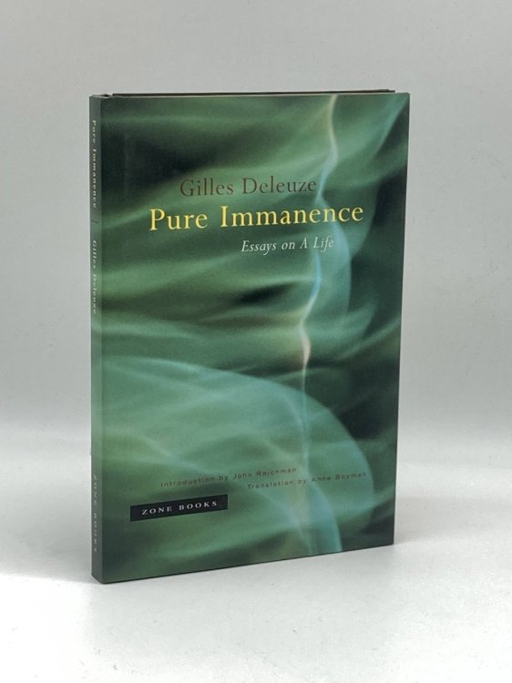 Pure Immanence Essays on a Life