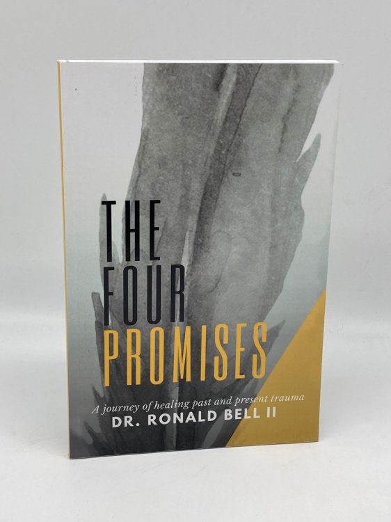 The Four Promises A Journey of Healing Past and Present Trauma