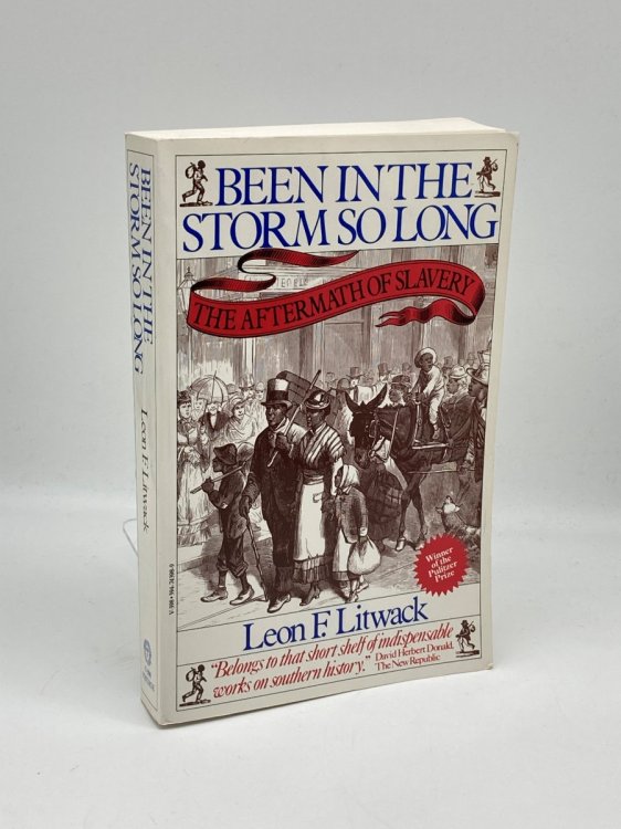 Been in the Storm so Long The Aftermath of Slavery