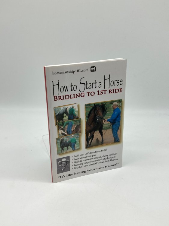 How to Start a Horse Bridling to 1St Ride