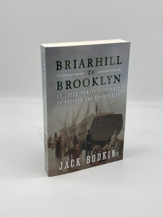 Briarhill to Brooklyn An Irish Family's Journey to Freedom and Opportunity