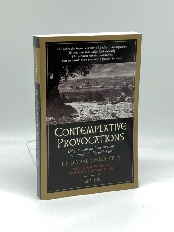 Contemplative Provocations Brief, Concentrated Observations on Aspects of a Life with God