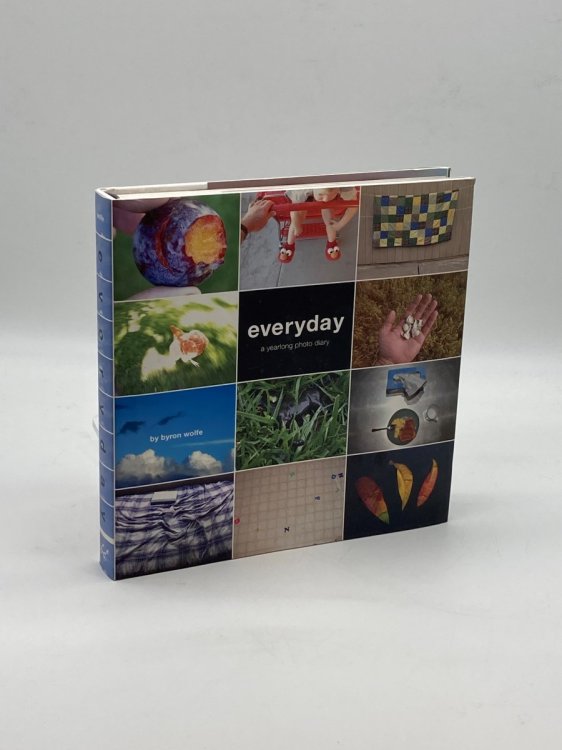 Everyday A Yearlong Photo Diary