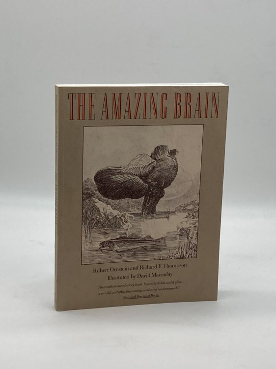 Image for Amazing Brain Pa 91 Amazing Brain Pa 91