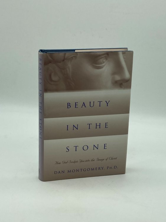 Beauty in the Stone How God Sculpts You Into the Image of Christ