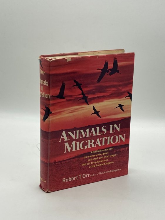 Animals in Migration