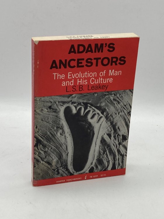 Adam's Ancestors The Evolution of Man and His Culture