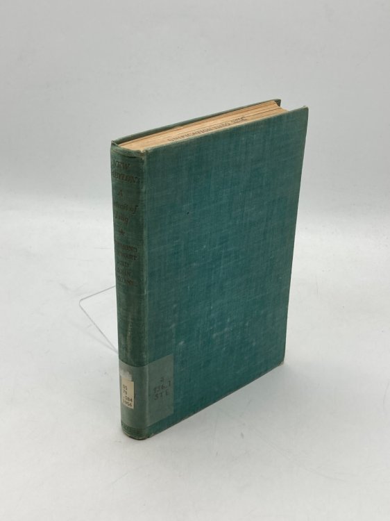 New Babylon A Portrait of Iraq