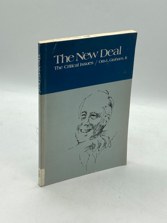 The New Deal The Critical Issues