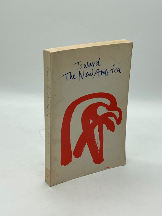 Toward the New America