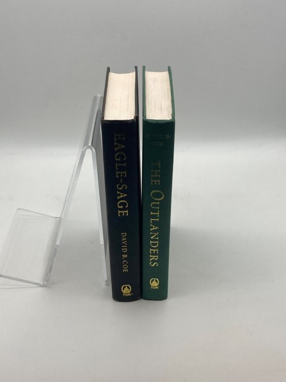 Eagle-Sage + the Outlanders (Books 2 and 3 in the Series)