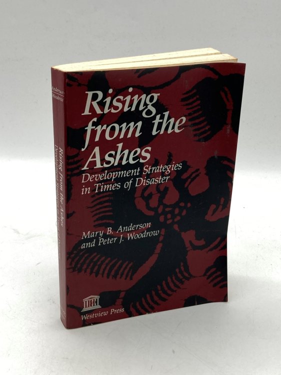Rising from the Ashes Development Strategies in Times of Disaster