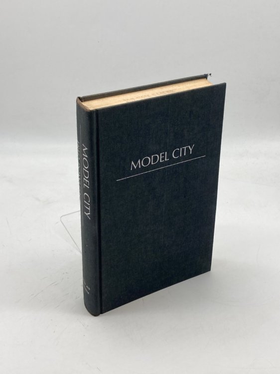 Model City A Test of American Liberalism: One Town's Efforts to Rebuild Itself