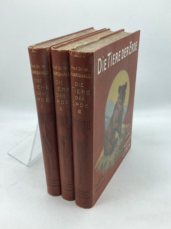 Die Tiere Der Erde in 3 Volumes (German - Ca. 1900) Mit Uber 1000 Abbildungen Nach Dem Leben