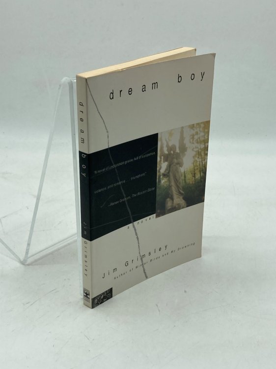 Dream Boy A Novel