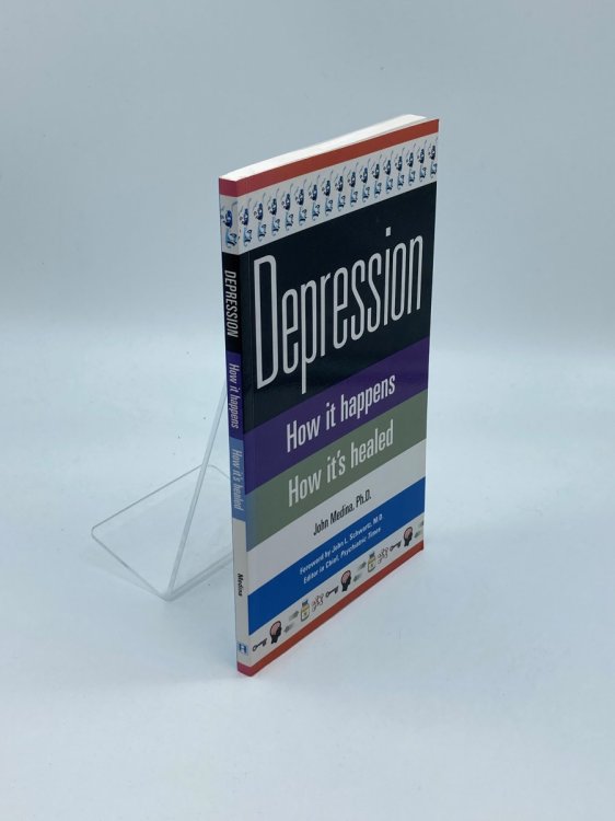 Depression How it Happens How it's Healed