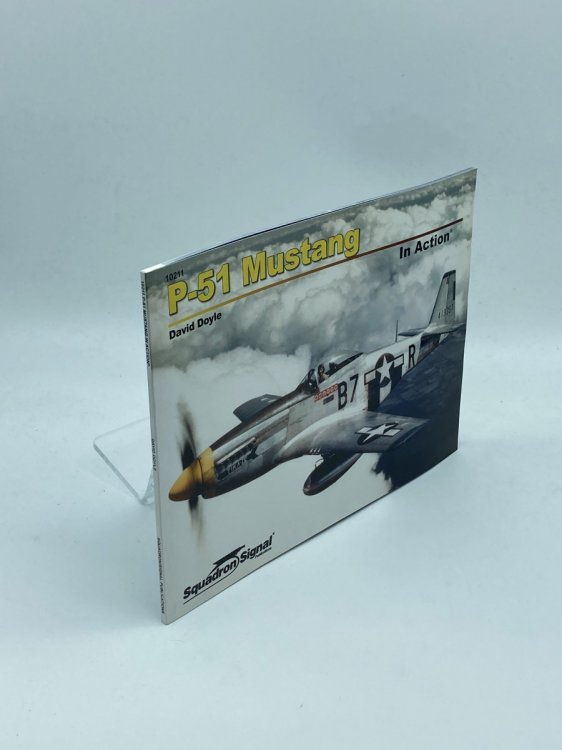 P-51 Mustang in Action