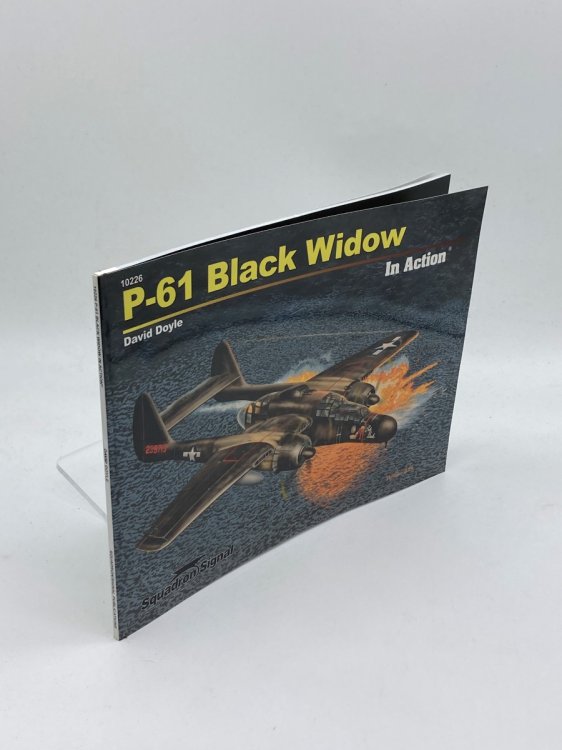 P-61 Black Widow in Action