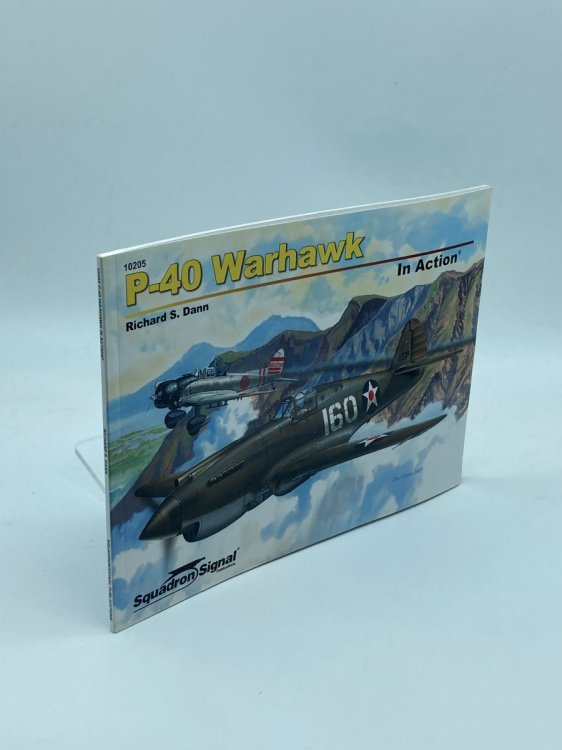 P-40 War Hawk in Action