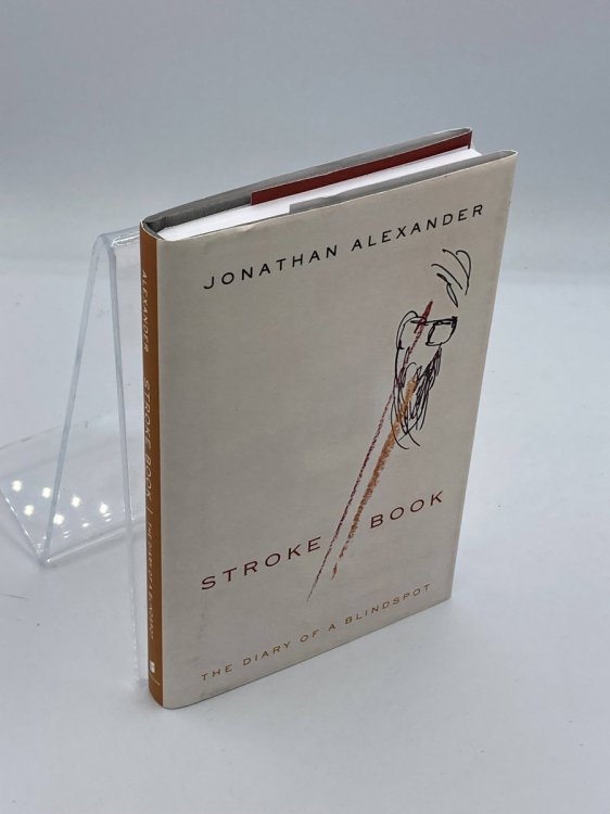 Stroke Book The Diary of a Blindspot