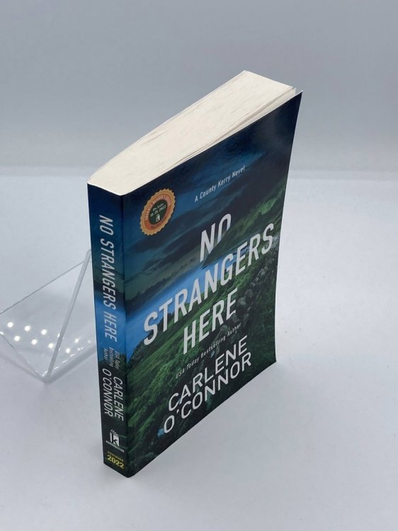 No Strangers Here A Riveting Dark Irish Mystery