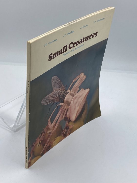 Small Creatures Examining Your Environment