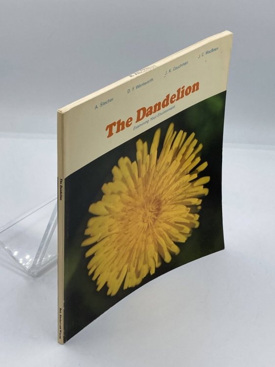 The Dandelion