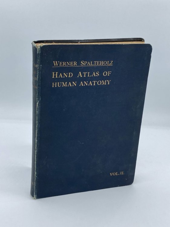 Hand Atlas Of Human Anatomy. Vol. II (1901) Regions, Muscles, Fasciae, Heart, Blood Vessels. Translated from the Third German Edition