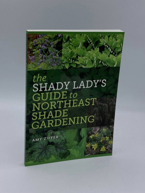 The Shady LadyS Guide to Northeast Shade Gardening