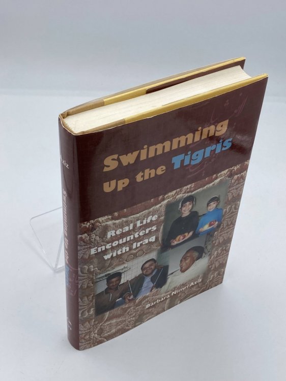 Swimming Up the Tigris Real Life Encounters with Iraq