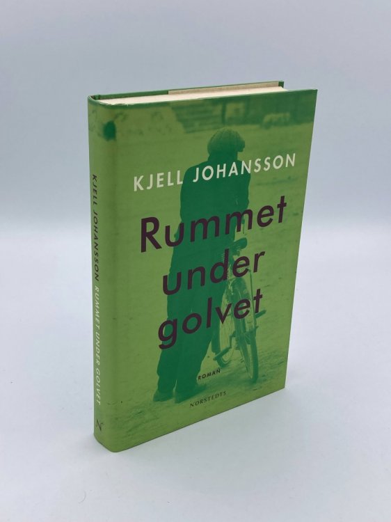 Rummet under Golvet Roman