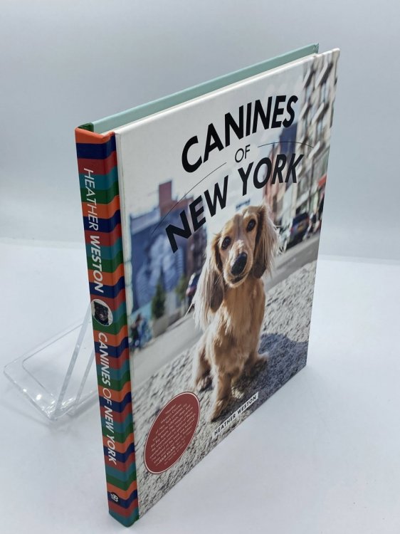 Canines of New York