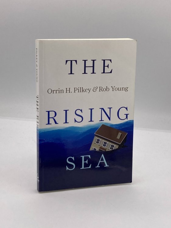 The Rising Sea