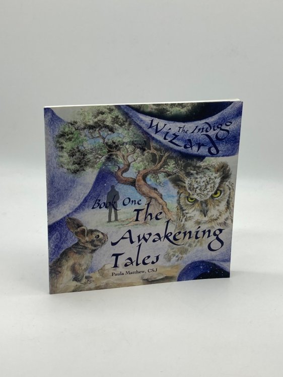 The Indigo Wizard The Awakening Tales