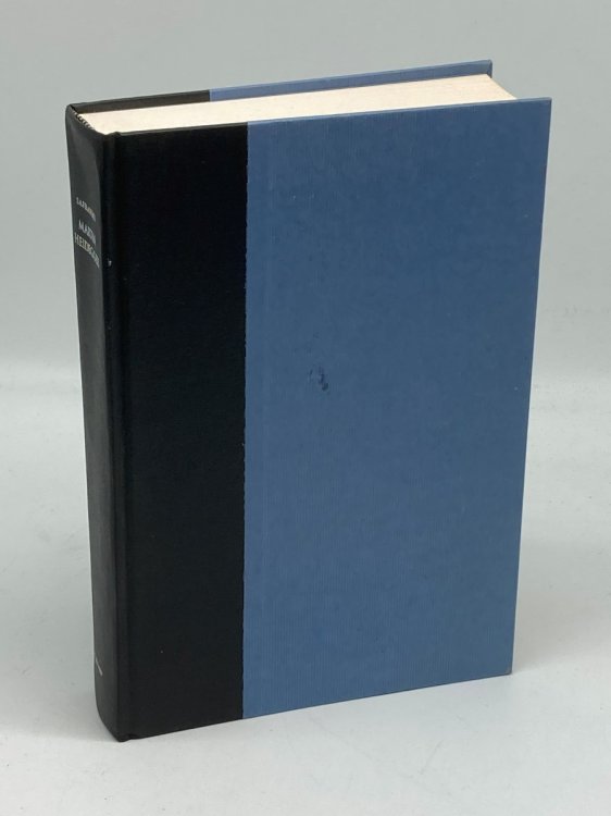 Martin Heidegger Between Good and Evil