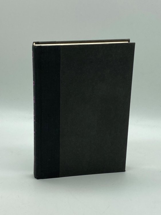 The Other Voice Essays on Modern Poetry