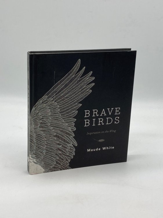 Brave Birds Inspiration on the Wing