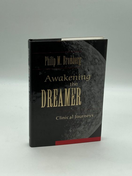 Awakening the Dreamer Clinical Journeys