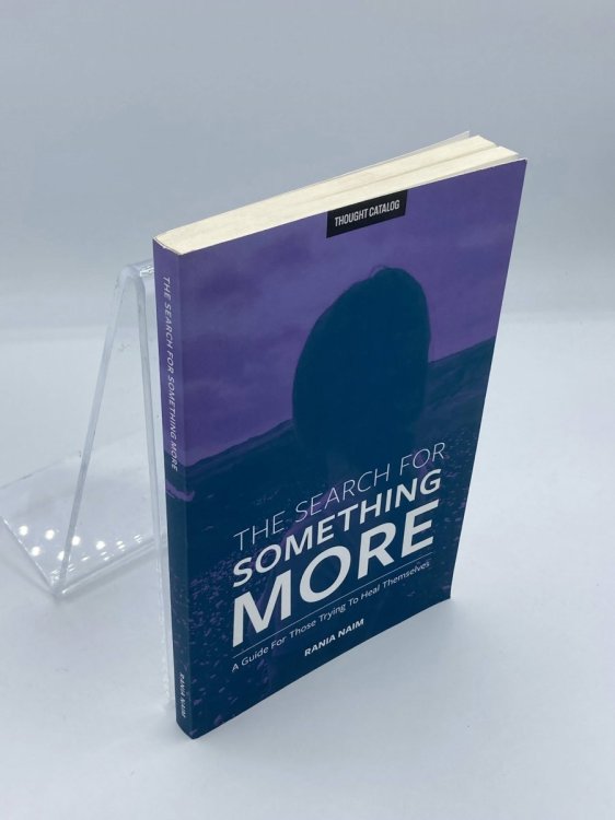The Search for Something More A Guide for Those Trying to Heal Themselves